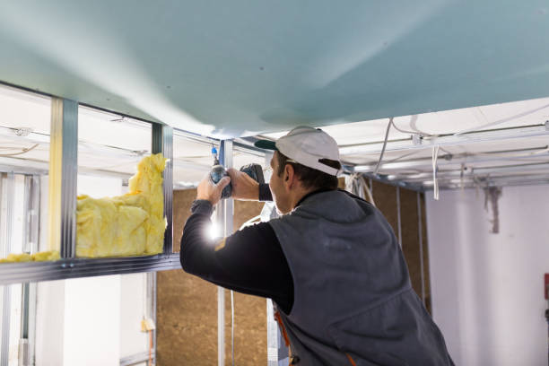 Best Types of Insulation in Crookston, MN