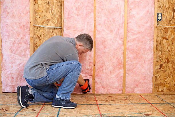 Best Residential Insulation in Crookston, MN